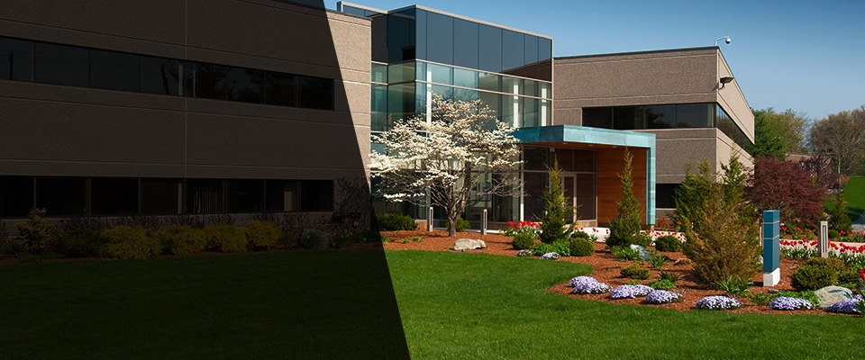 Rogersville Landscapers