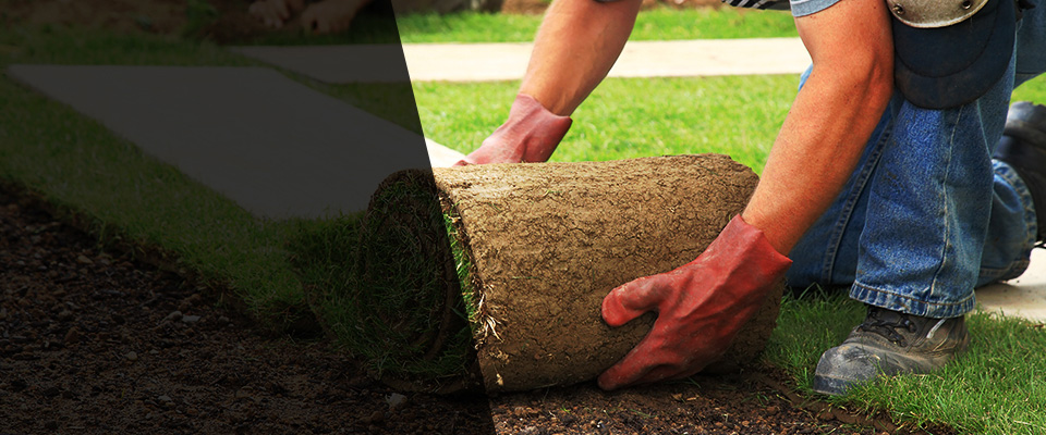 Rogersville Landscapers